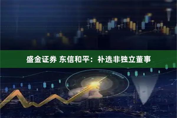 盛金证券 东信和平：补选非独立董事
