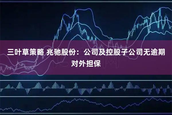 三叶草策略 兆驰股份：公司及控股子公司无逾期对外担保