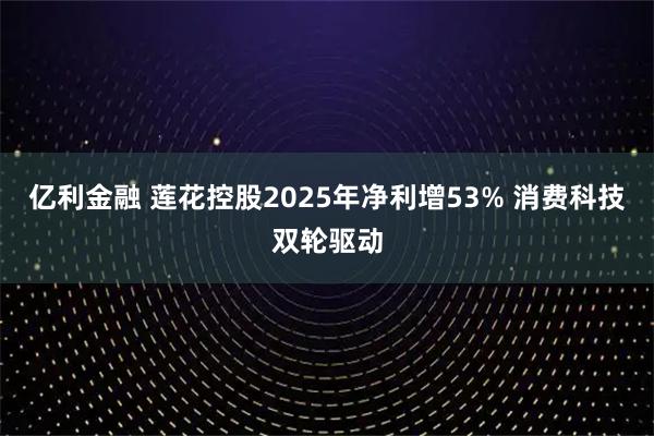 亿利金融 莲花控股2025年净利增53% 消费科技双轮驱动