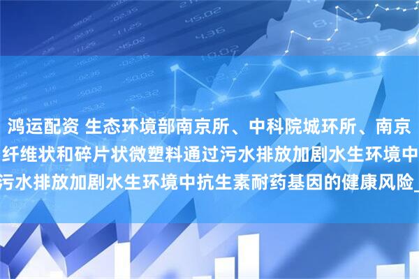 鸿运配资 生态环境部南京所、中科院城环所、南京大学合作ES&T：纤维状和碎片状微塑料通过污水排放加剧水生环境中抗生素耐药基因的健康风险_研究
