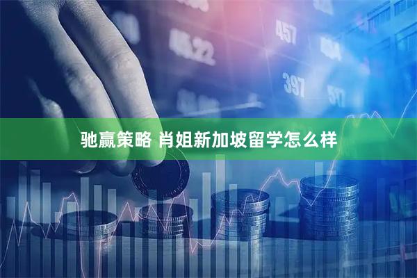驰赢策略 肖姐新加坡留学怎么样