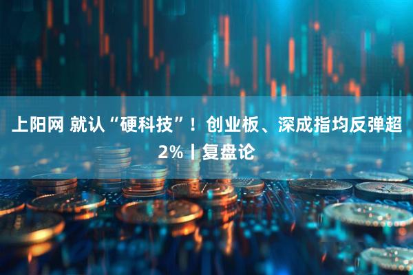 上阳网 就认“硬科技”！创业板、深成指均反弹超2%丨复盘论