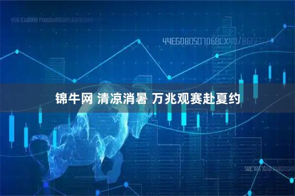 锦牛网 清凉消暑 万兆观赛赴夏约